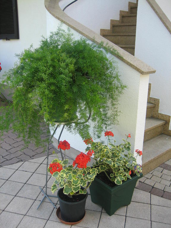 Appartement Weissbacher Lofer Exterior photo